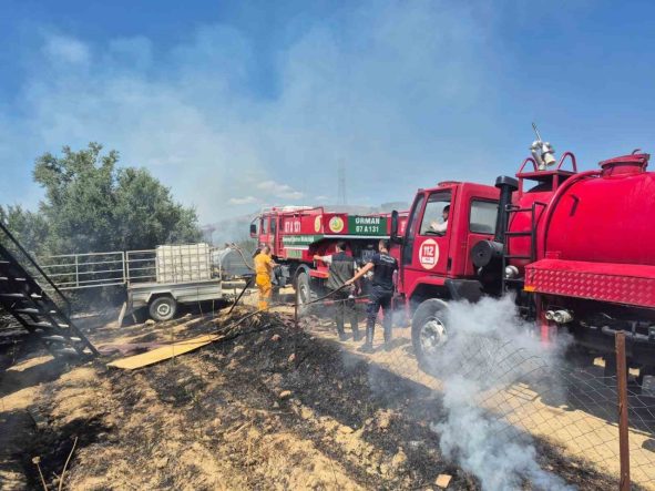 Antik kente yakın zeytinlik alanda yangında 1,25 dönüm zarar gördü