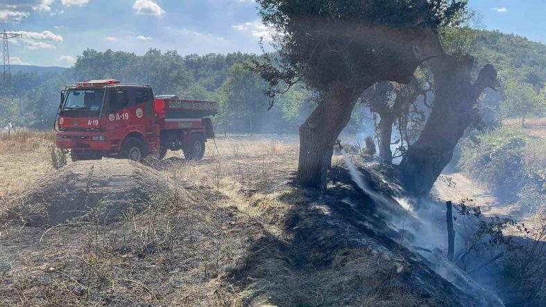 Kastamonu’da çıkan örtü yangını söndürüldü