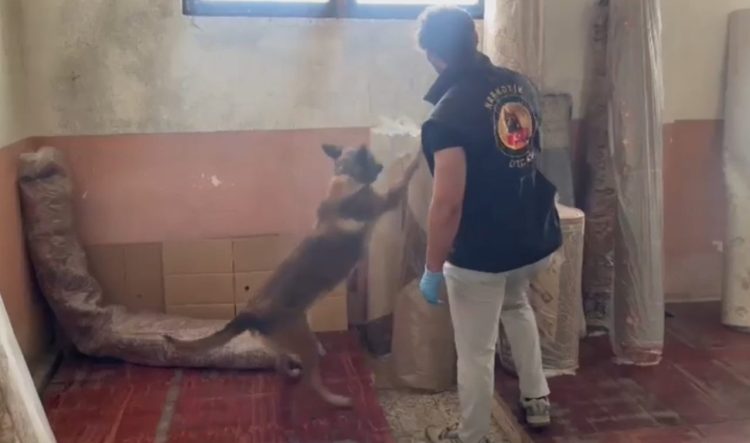 Kastamonu’daki uyuşturucu operasyonunda 5 şüpheli tutuklandı