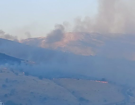 Pütürge’deki arazi yangını kontrol altına alındı