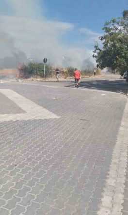 Trafonun patlaması sonucu çıkan yangın tatilcilere panik yaşattı