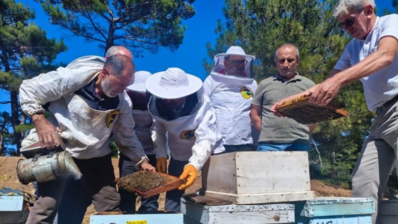 Balıkesir’de Bal Hasadı Başladı (2)