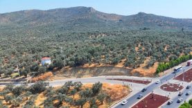 Balıkesir'de Mahalle Olan Köylerde Emlak Fiyatları Neden Değişti
