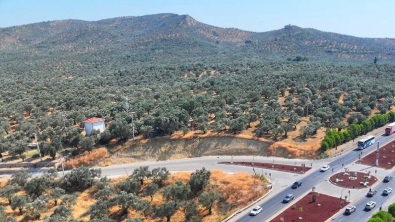 Balıkesir’de Mahalle Olan Köylerde Emlak Fiyatları Neden Değişti?