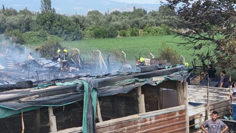 Burhaniye’de ahır yangını paniğe neden oldu