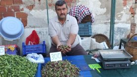 Burhaniye’de kınalı bamya ilgi gördü
