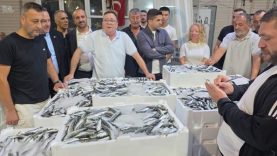 Denizlerde av sezonu başladı, Marmara'da ilk gün sardalya bereketi yaşandı