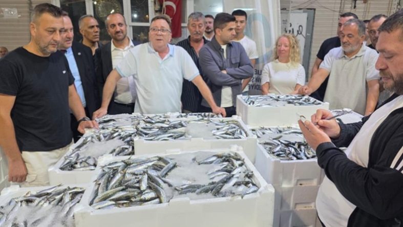 Denizlerde av sezonu başladı, Marmara'da ilk gün sardalya bereketi yaşandı