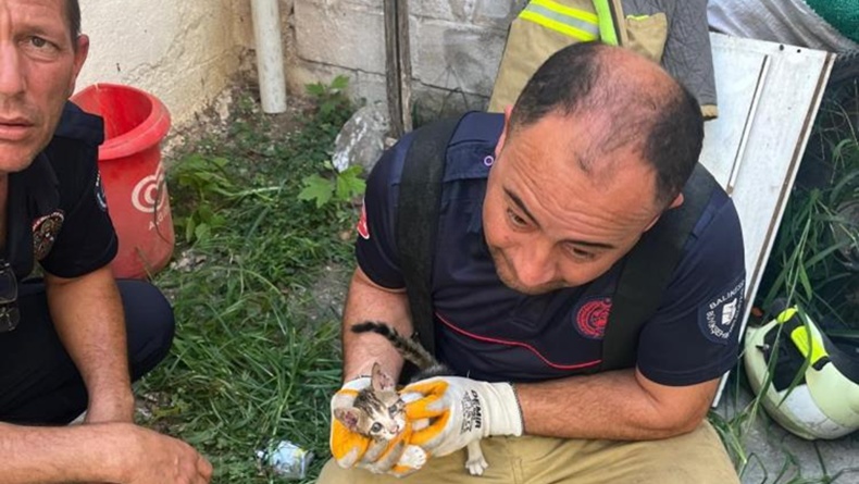Erdek’te iki bina arasına sıkışan yavru kedi kurtarıldı