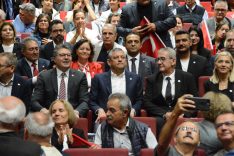 ILK_9688