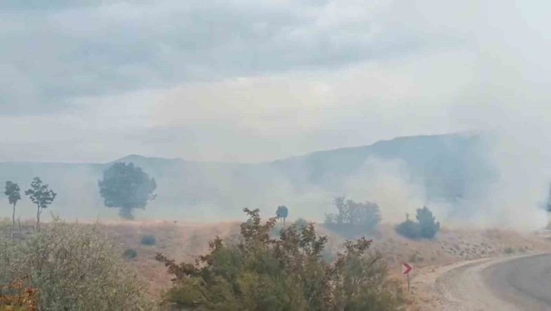 Bolu’da arazi yangını ormanlık alana ulaşmadan söndürüldü