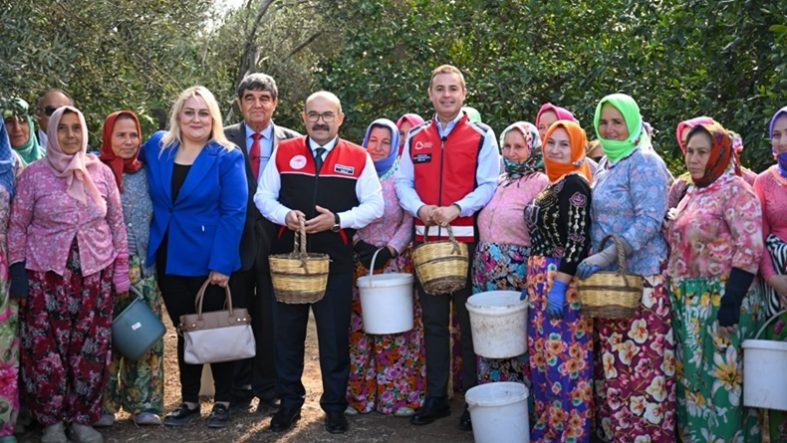 Akın, Altınova Mahallesi’nde gerçekleştirilen zeytin hasadına katıldı (3)