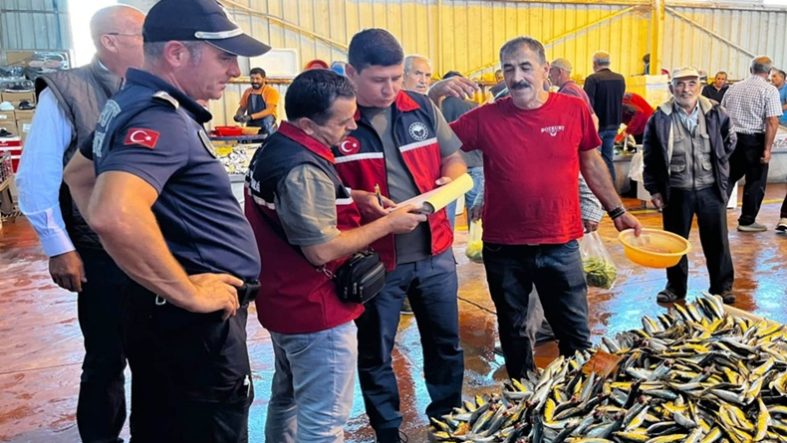 Balıkesir’de Balıkçı Gemileri ve Satış Noktaları Denetleniyor