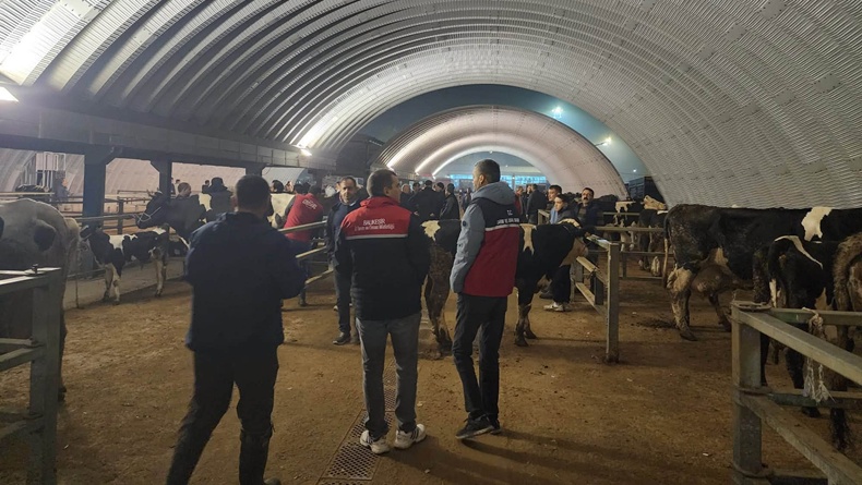 Balıkesir’de hayvan sağlığının korunması ve bulaşıcı hayvan hastalıklarının yayılmasının önlenmesi