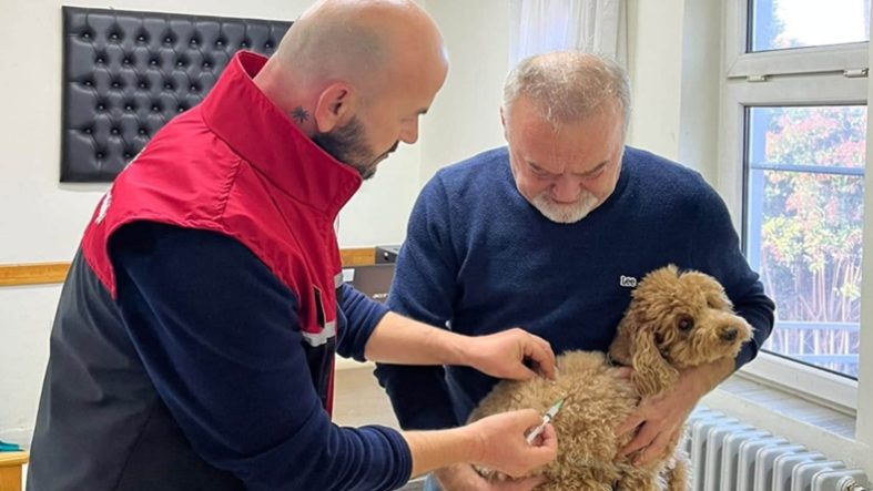Balıkesir’de Kedi ve Köpekler İçin Kuduz Aşısı Seferberliği