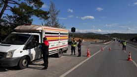 Balıkesir’de canlı hayvan taşıyan araçlara sıkı denetim
