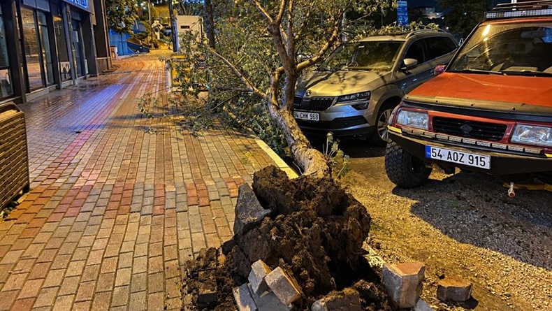 Bandırma’da fırtınada kökünden sökülen ağaç aracın üzerine devrildi
