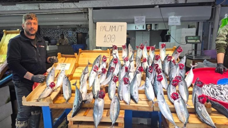 Bandırma’da palamut bereketi, vatandaş kasa kasa balık alıyor
