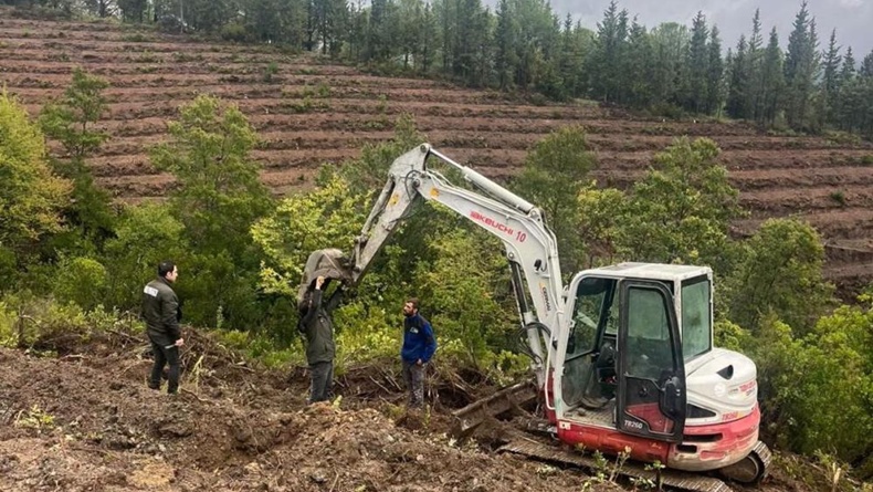 Gönen’e 250 hektarlık endüstriyel plantasyon sahası kuruluyor