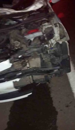 Bingöl’de otomobil ineğe çarptı: 4 yaralı