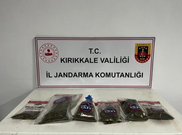 Narkotik köpeği "Evin" uyuşturucuyu tespit etti: Bahçede kenevir ve esrar ele geçirildi