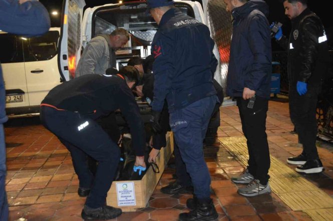 Ordu’da denize atlayan genç hayatını kaybetti
